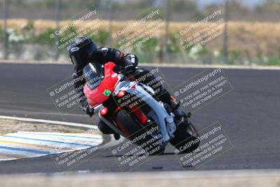 media/Jun-07-2025-TrackDaz (Sat) [[4413525952]]/C Group/240pm (Turn 9)/